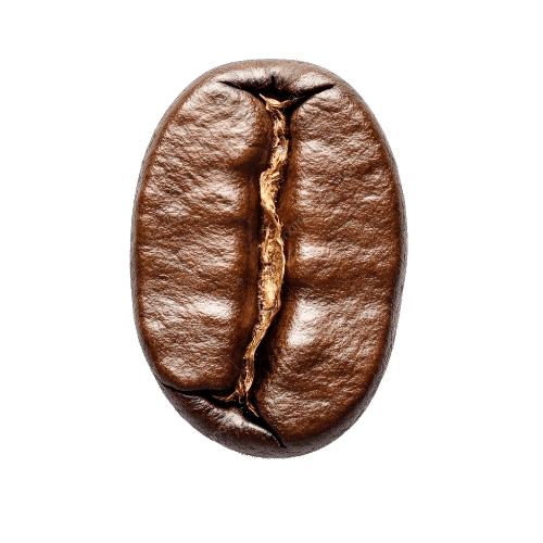 Grano de café Casa Nestor